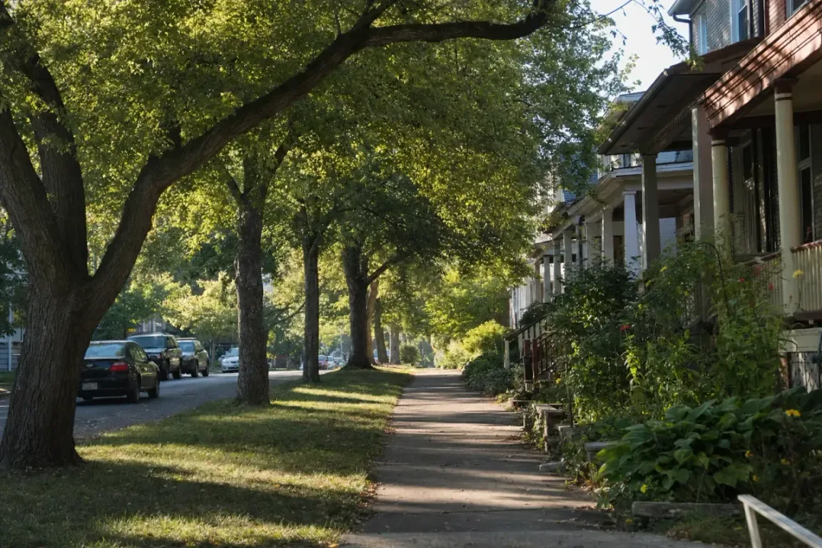 A tree-lined Denver street with historic homes.