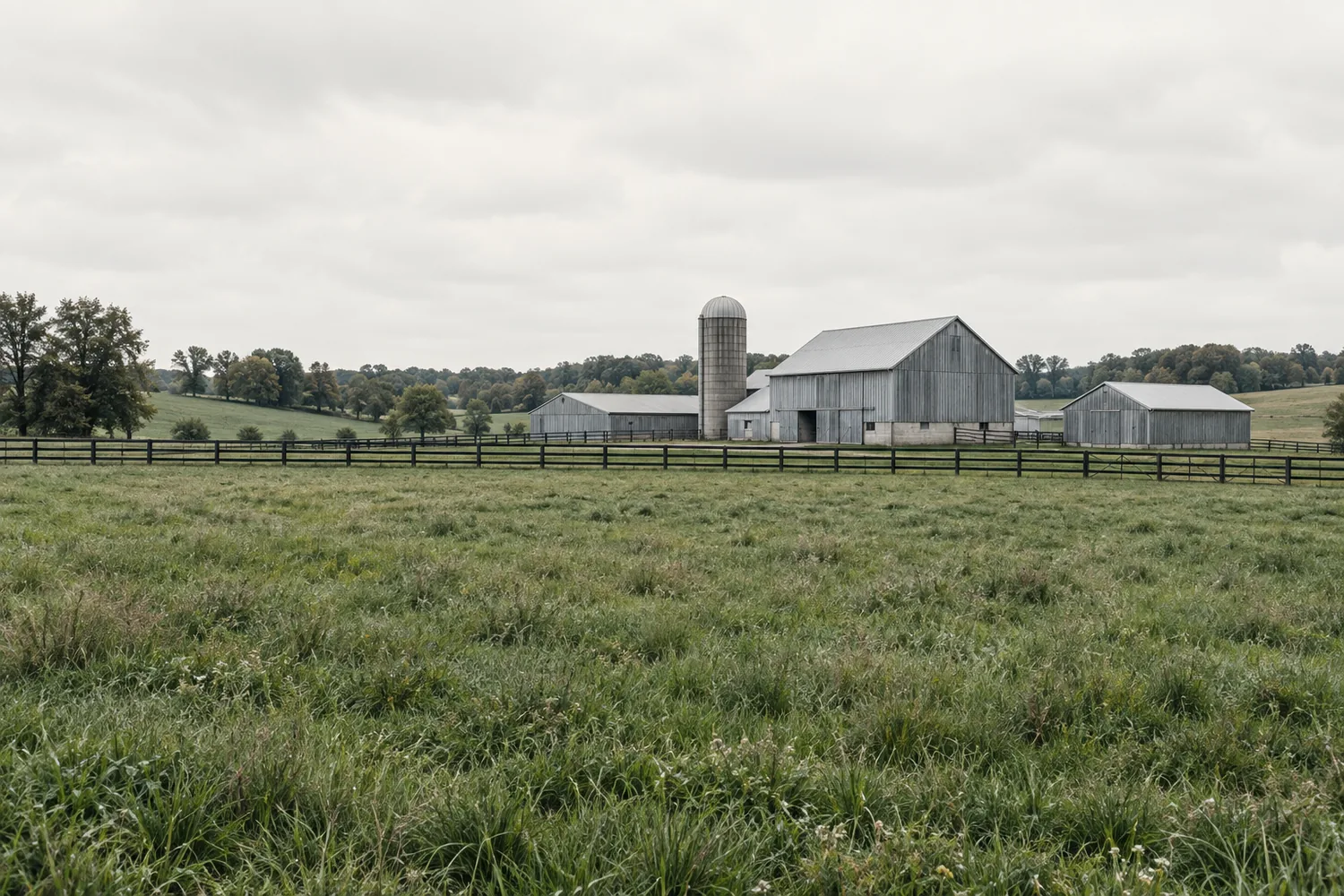 A green Wisconsin pasture and simple agricultural buildings under an overcast sky.