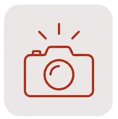 Friday photo updates