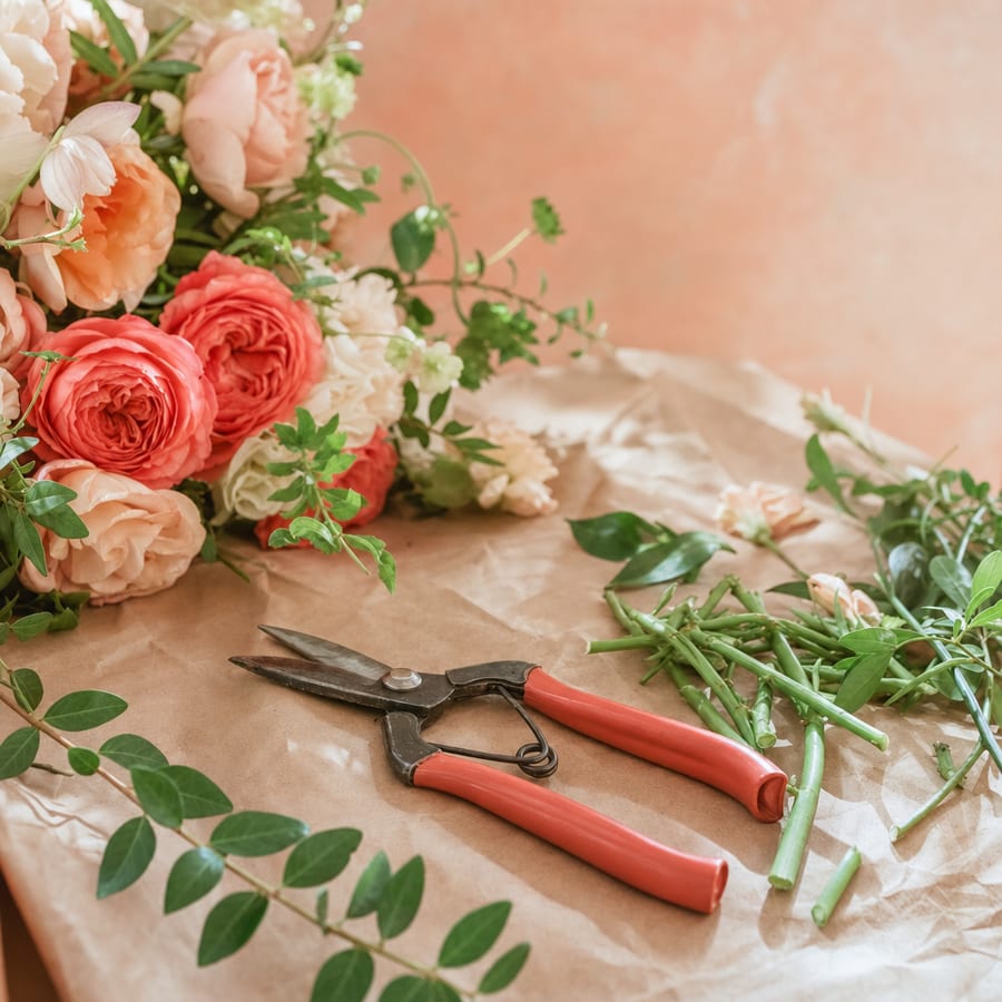 Steel cut-flower shears with coral handles on kraft paper