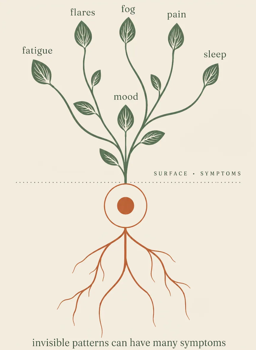 A plant whose leaves — labelled fatigue, flares, fog, pain, sleep and mood — all trace down through one stem to a single shared root.